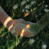 hands1